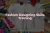 Fashion Designing Skills Training